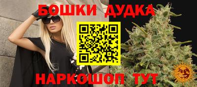 мдма Новодвинск
