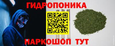 дживик Новокубанск