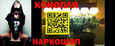 дживик Новокубанск