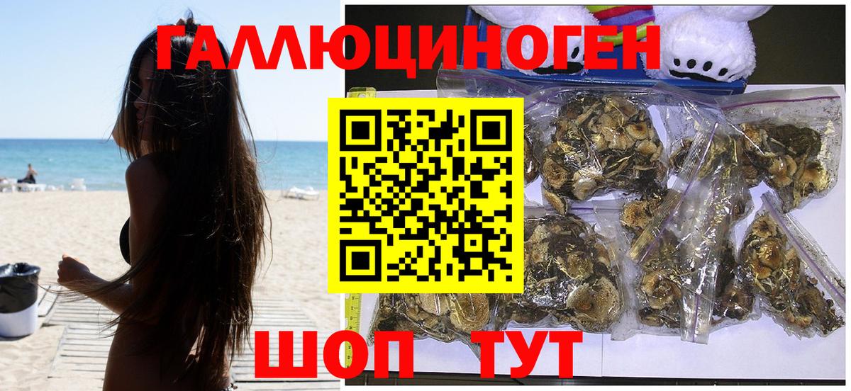 Псилоцибиновые грибы мицелий Можайск