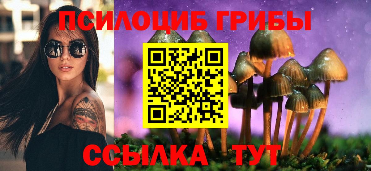 купить закладку  Галлюциногенные грибы прущие грибы  Вход с VPN  Псилоцибиновые грибы прущие грибы  Можайск 
